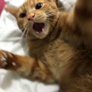 Meet your Posher, Annalynn